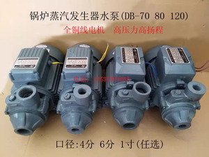 电热锅炉蒸汽发生器补水泵 高压旋涡泵1/2DB-70 3/4DB-80 1DB-120