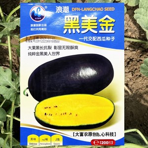 黑皮黄瓤西瓜种籽高产四季特大超甜巨型黑美金椭圆薄皮西瓜种子孑