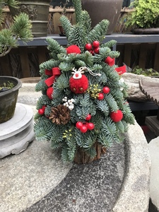 新款花环真松柏装饰品鲜花桌摆布置诺贝圣诞树