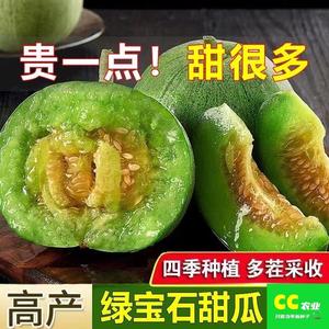 绿宝石甜瓜种子籽超甜薄皮香瓜冰糖春季四季脆瓜高青皮产香瓜种籽