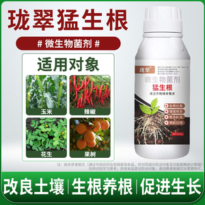 生根剂壮苗剂根腐辣椒草莓蔬菜果树生根粉防烂根茎基腐微生物菌剂