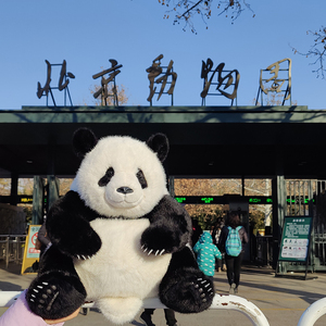 萌兰熊猫玩偶仿真爪子毛绒玩具北京动物园大熊猫公仔礼盒生日礼物