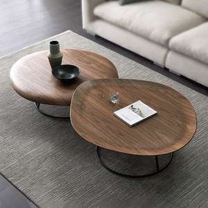 北欧风轻奢茶几桌客厅家用简约现代家具创意个性沙发圆异形凹凸几