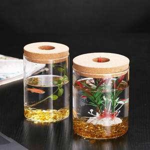 透明玻璃水培花盆水培植物玻璃瓶微景观生态瓶鱼缸器皿摆件斗鱼瓶