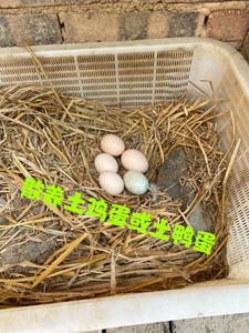 湖南山区农家纯粮食喂养土鸡蛋30枚装。
