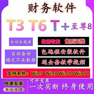 用友t3标准普及版财务软件T6中小企业做账T+u8会计代理记账加密狗