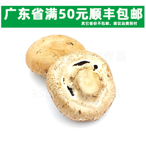 新鲜1斤装 褐菇"牛排菇"珍宝菇波多黎各菌贵啡菇香啡菇 大菇
