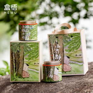 高档茶叶包装盒国风创意小双罐绿茶白茶红茶散茶礼盒伴手礼可定制