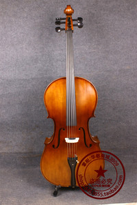音芬特 厂家直销 5弦箱式电声大提琴 电子大提琴 电箱两用 仿古