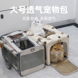 两只猫咪猫包外出便携大号透气宠物外带绝育包大容量手提猫狗笼子