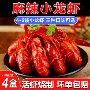 麻辣小龙虾整虾蒜蓉大虾4-6钱加热即食非龙虾尾熟食750g盒装零食