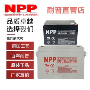 npp耐普NPG12-100蓄电池12v65 38 20 17 12 9 8.5 7.2 5AH