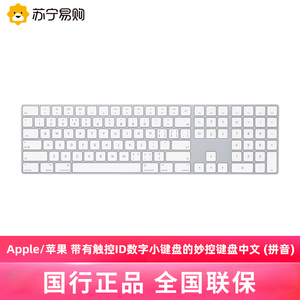 Apple/苹果带有触控 ID 数字小键盘的妙控键盘中文 (拼音) [2059]