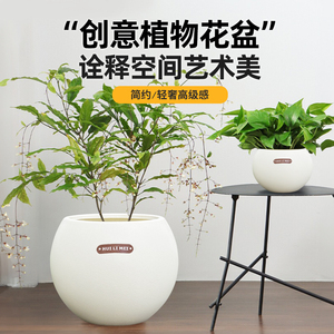 塑料花盆大号家用轻奢高级感仿石加厚树脂耐用发财树龟背竹专用