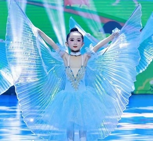 小风筝六一演出服儿童肚皮舞金翅透明舞蹈翅膀道具表演萤火虫翅膀