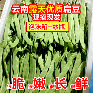 云南优质露天青扁豆刀豆四季豆芸豆豆角新鲜应季蔬菜5斤包邮豌豆