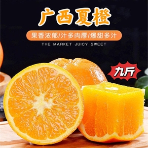 广西夏橙冰糖甜橙整箱新鲜当季水果果冻手剥脐橙孕妇水果高山甜橙