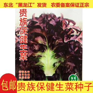 紫生菜种子罗莎红珊瑚沙拉菜农家蔬菜种籽贵族生菜韩育紫叶生菜孑
