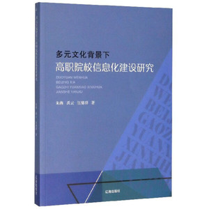 正版包邮 多元文化背景下高职院校信息化建设研究 朱燕 禹云 伍锦