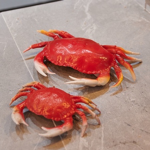仿真螃蟹海鲜模型道具食物食品酒店店铺餐厅样板橱窗摆件装饰摄影