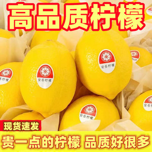 四川安岳新鲜优质一级黄柠檬皮薄多汁酸爽孕妇水果5斤独立包装