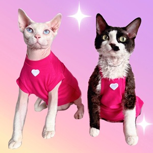 无毛猫衣服斯芬克斯德文衣服夏天薄款粉色可爱吊带纯棉短袖宠物