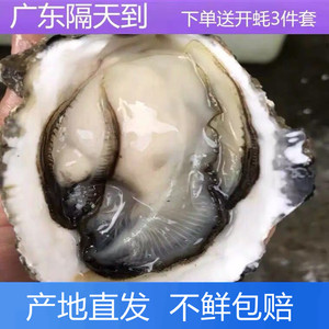 广东生蚝鲜活10斤整箱新鲜海蛎子海鲜水产鲜活牡蛎烧烤商用