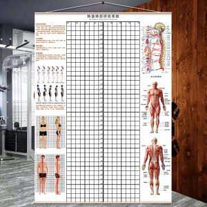 高端便携挂式体态评估表无需胶健身体测表瑜伽私教体位姿势对比图