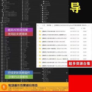 PS/AI/CDR/PR/AE/LR/FCPX/C4D/ED插件全套合集设计工具winmac软件