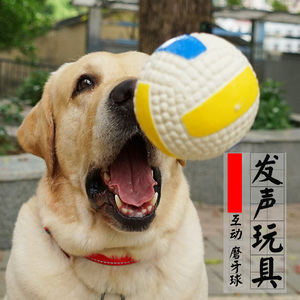 宜特宠物玩具发声拉布拉多金毛大型犬磨牙耐咬训练用品球狗玩具球