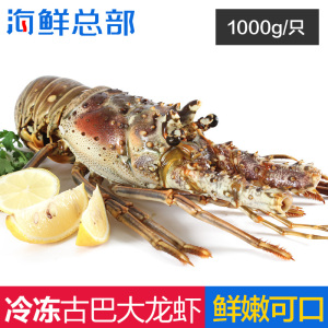 原装进口澳洲海鲜活冷冻古巴大龙虾2斤/只 可帮切半 900-1000g