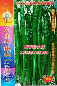 苏润特长线椒种籽孑早熟品种绿色座果集中抗病性强杂交品种种子