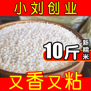 小刘创业当季新米东北圆糯米10斤新鲜优质香白江米糯米粽子非5斤