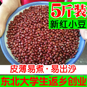东北珍珠红豆粒红小豆农家自产5斤装五谷杂粮小红豆新货豆沙豆浆