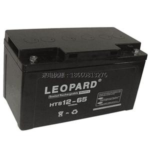 LEOPARD美洲豹蓄电池HTS12-100 12V100AH 不间断电源UPS/EPS通讯