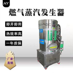 商用燃气蒸汽发生器节能环保加强型全自动蒸汽机煮豆浆蒸馒头酿酒