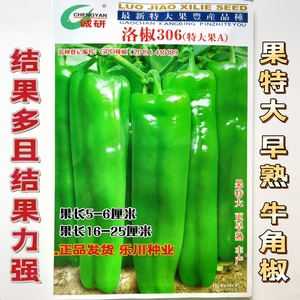 洛椒306特大果早熟翠绿牛角椒种子微辣结果力强优质四季蔬菜种子