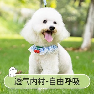 比熊狗狗牵引绳可爱遛狗链子小型犬宠物胸背带泰迪博美小狗牵狗绳