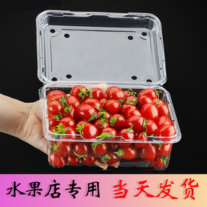 一次性水果打包盒家用水果果切透明塑料蓝莓盒一斤装加厚包装盒子