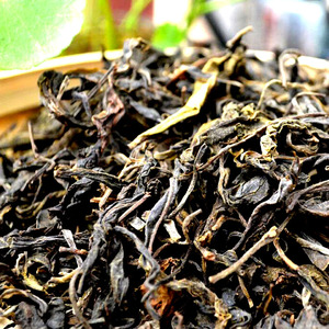 云南茶叶普洱茶生茶散装500g勐海明前春芽茶纯料乔木古树簧片茶叶