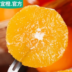 宜橙 伦晚脐橙  高甜微酸多汁5-9斤甜橙子湖北当季现摘新鲜水果