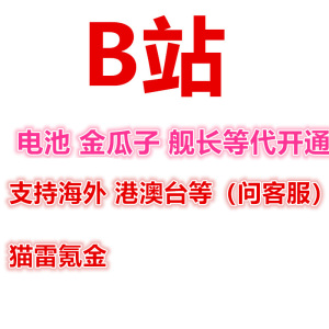 哔哩哔哩B站 Bilibili 30元30B币电池金瓜子直播猫雷代充值氪金