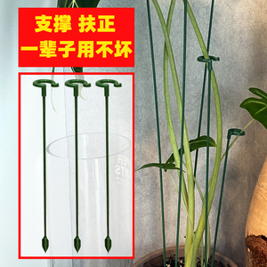 植物支撑杆花支架花卉绿植天堂鸟盆栽龟背竹支撑架海芋固定防倒伏