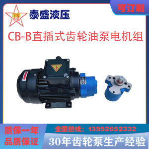 CB-B6/CB-B10/CB-B4JZ锯床齿轮油泵电机组CBW-2.5循环润滑内插直R