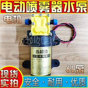 鑫超劲大功率隔膜泵BS5500 12V3.5A 6L/min打药桶电动喷雾器水泵