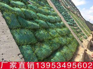 公路边坡绿化护坡植生袋山体复绿护坡生态袋绿色网眼袋40*60cm