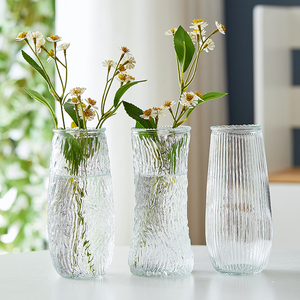浮雕玻璃花瓶大号透明水养富贵竹ins高颜值客厅装饰家用插花摆件