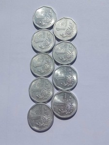 流通品菊花一角1毛91-99年各一枚，一套9枚保真硬币