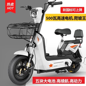爱玛新日同款新国标电动车60v48伏V两轮电瓶车成人小型电动自行车