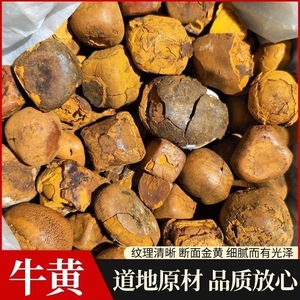 中药材正品养殖牛胆黄牛结石 人工牛黄 天然牛黄块1克 新货牛黄粉